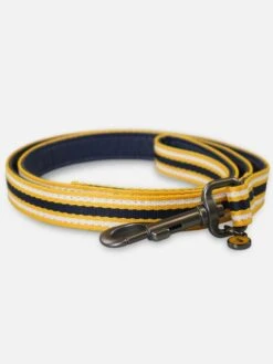 Multi Coastal Stripe Dog Lead